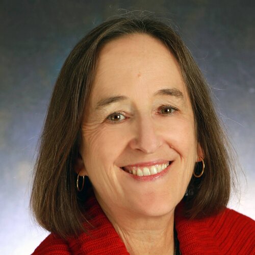 Ellen Moir, Board Chair - a white woman with shoulder length hair smiles in front of a gray background.